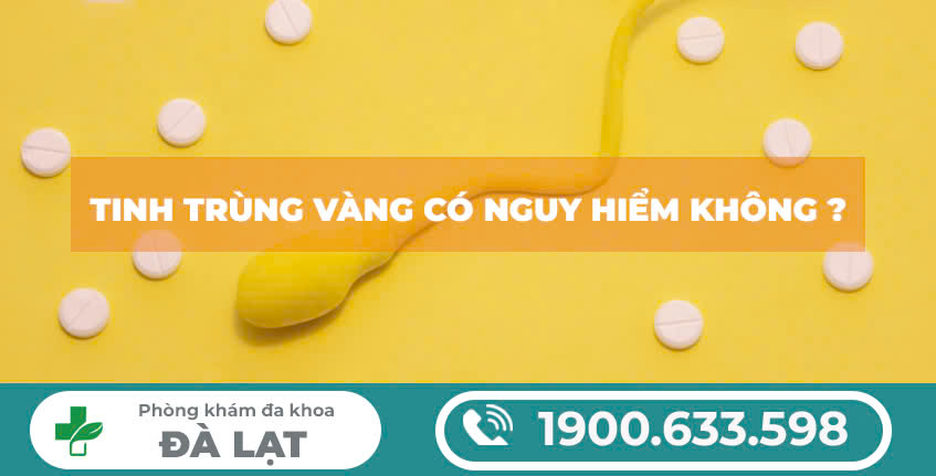 TINH TRÙNG VÀNG CÓ NGUY HIỂM KHÔNG ?